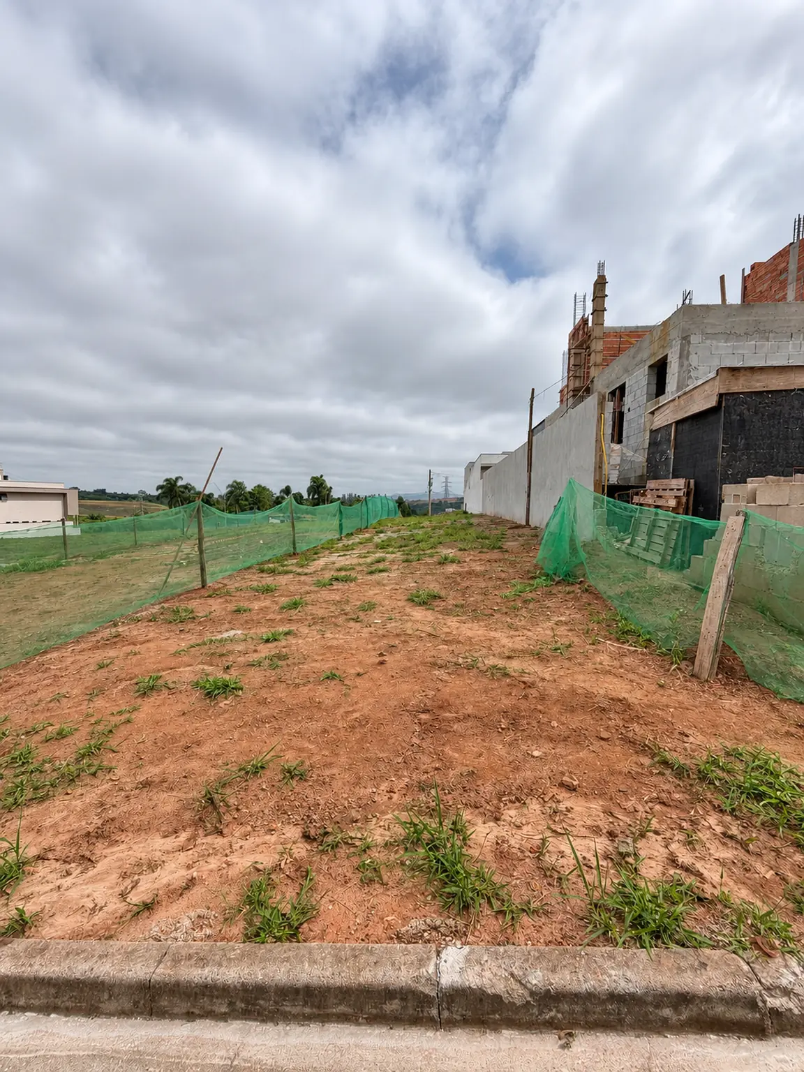 Vista frontal do terreno com vegetação e muro da residência vizinha