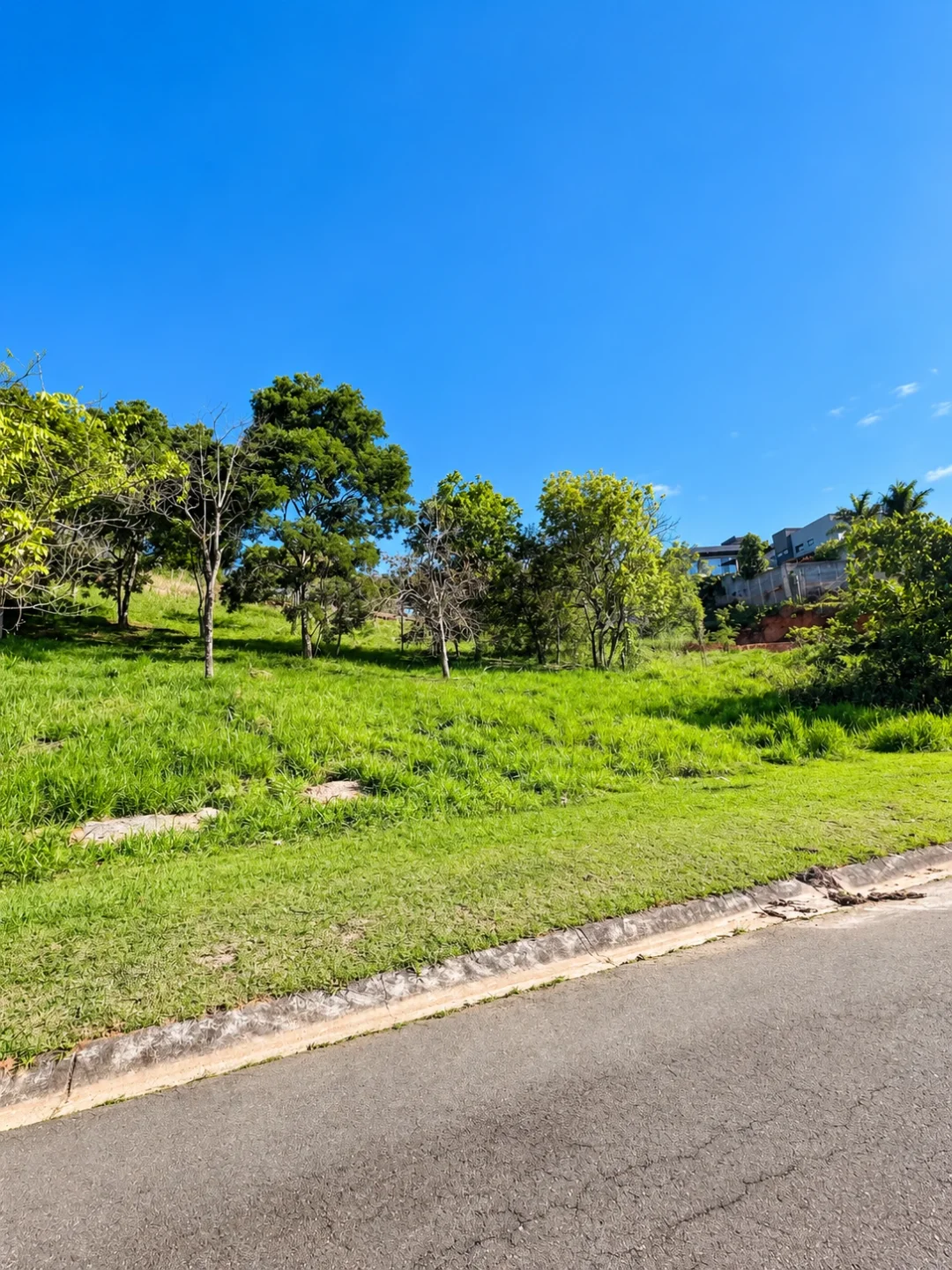 Imagem do lote: vista frontal do terreno pelo lado da via, no Reserva Ibirapitanga, em Santa Isabel — Ref. 0094