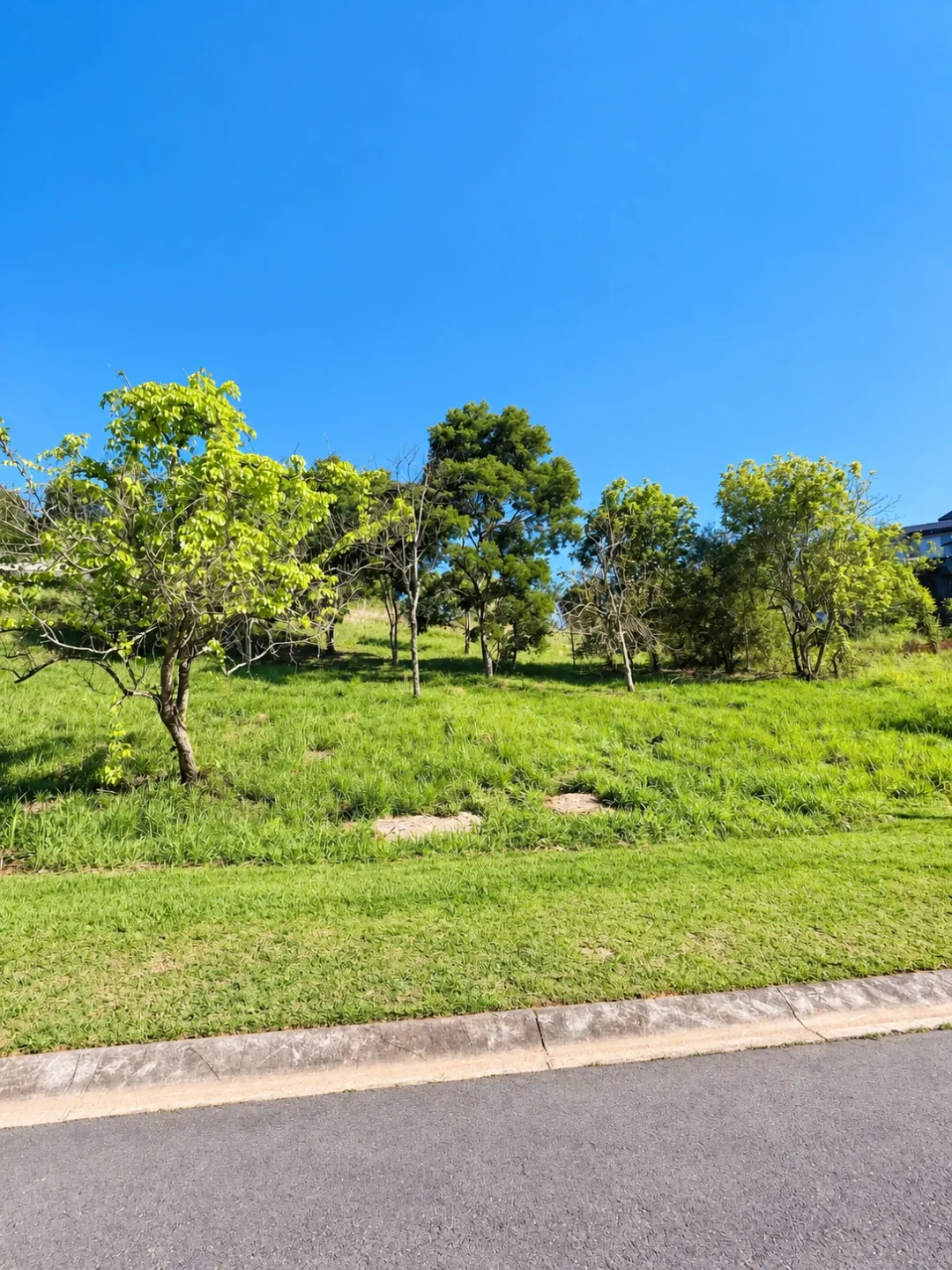 Imagem do lote: vegetação do terreno vista junto à rua, no Reserva Ibirapitanga, em Santa Isabel — Ref. 0094