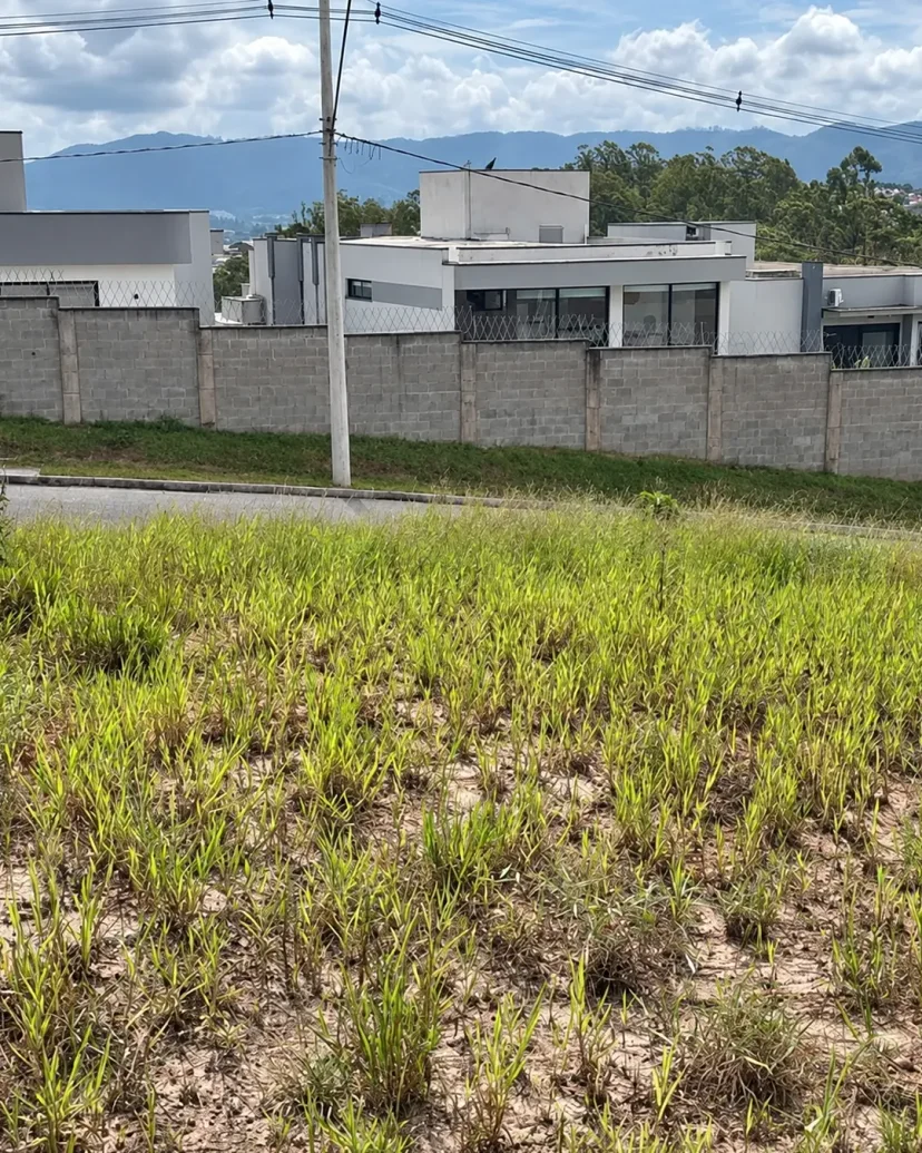 Vista interna do lote no Mosaico Horizontes, em Mogi das Cruzes, em direção à rua